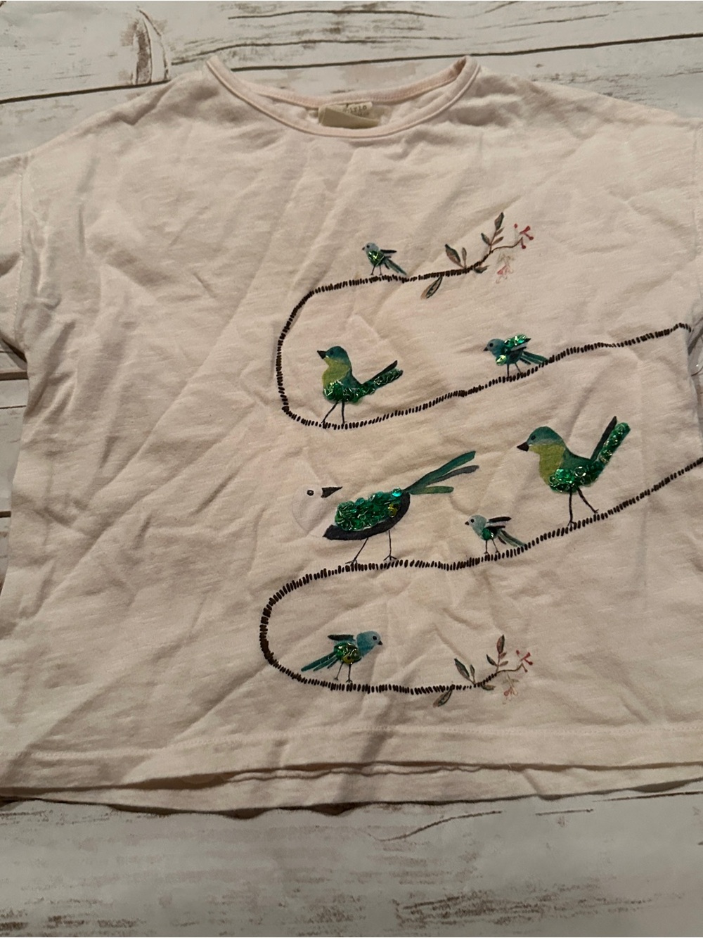 Zara bird tee green birds on a branch design, vguc size 4 years